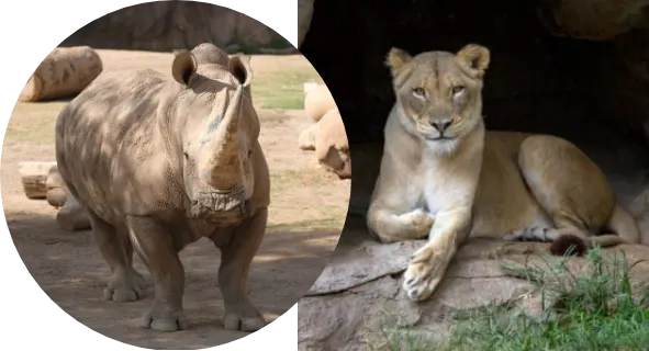 Reid Park Zoo